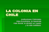 163628164 La Colonia en Chile