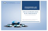 SEGURIDAD EN REDES.pdf