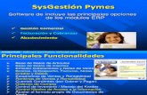 SysGestión Pymes