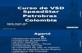 Curso de VSD SpeedStar Petrobras Mayo 2012