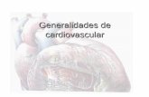 6.-Generalidades de Cardiovascular