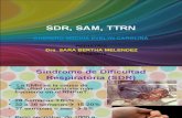 SDR, SAM Y TTRN