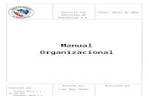 manual organizacional.docx