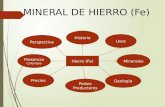 Yacimientos Mineral de Hierro