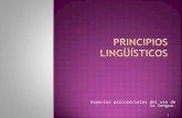 Principios Linguisticos