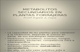 86001567 Metabolitos Secundarios en Plantas ForrajerasMETABOLITOS SECUNDARIOS EN PLANTAS FORRAJERAS