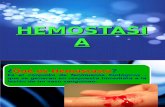 HEMOSTASIA- CLASE.ppt