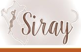 Siray Expo 2 - Presentación