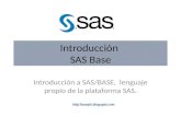Curso - Introducción Al Lenguaje SAS BASE_blog