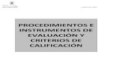 Procedimientos e Instrumentos Generales 2012