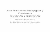 Modelo Proyecto IFA Sensacion y Percepcion