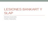 POP Bankart y SLAP