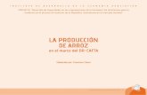 La producción del arroz en el marco del DR CAFTA