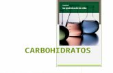 Carbohidratos y Disacaridos
