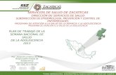 Plan de Trabajo de La SNSA 2013 Zacatecas