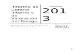 Informe Control Interno Valoracion Riesgo 2013