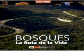 Biblioteca Caretas-MINAM Bosques La Ruta de La Vida