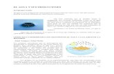 13 El agua y sus disoluciones.pdf