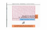 elecciones y democracia (1).docx