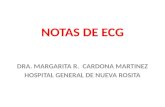 2   NOTAS DE ECG.pptx