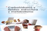 Carbohidratos y Lípidos