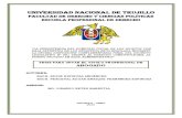 La Subsistencia Del Domicilio Fiscal de Los Sujetos Con Baja Definitiva en Los Registros (Ruc)