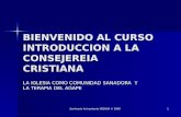 CURSO INTRODUCCION A LA CONSEJERIA -VIA INTENET.ppt