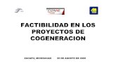 FACTIBILIDAD EN LOS  PROYECTOS DE  COGENERACION