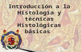 Introduccion a La Histologia