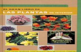 El Gran Libro de Las Plantas de Interior2