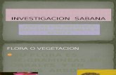 Investigacion Sabana