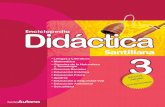 Didactica primaria 3
