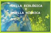 huellas- HIDRICA 140914091311-phpapp01