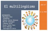 El Multilingüismo
