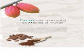 Salas, Hernández - Cacao, Una Aportación de México Al Mundo