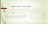 La percepción (pieles).pdf