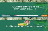 Cuba Workshop Ejercicio CaracteristicasInfluenza Sp