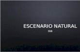 Equipo 2 - Escenario Natural_S5B
