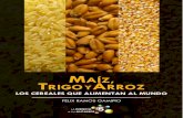 Maíz, trigo y arroz
