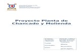 Proyecto Planta de Chancado y Molienda Grupo N_2