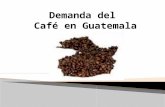 Presentaciond El Cafe