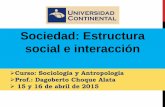 Sociedad Estructura social e Interacción Social.pdf