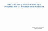 3 Neuro M.liso y Cardiaco,Mecanoreceptores