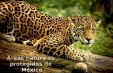 Areas Protegidas Mexico