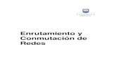 Manual 2015-I 04 Enrutamiento y Conmutación de Redes (CCNA3) (0526)
