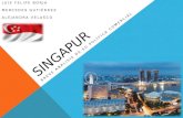 Singapur - Politica Comercial