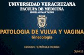 Patología de Vagina y Vulva