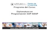 Programa Del Curso - ABAP