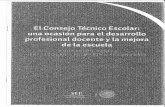 ESTRATEGIA ESTATAL DE CEB.pdf