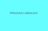 PRAXIAS LABIALES.ppt